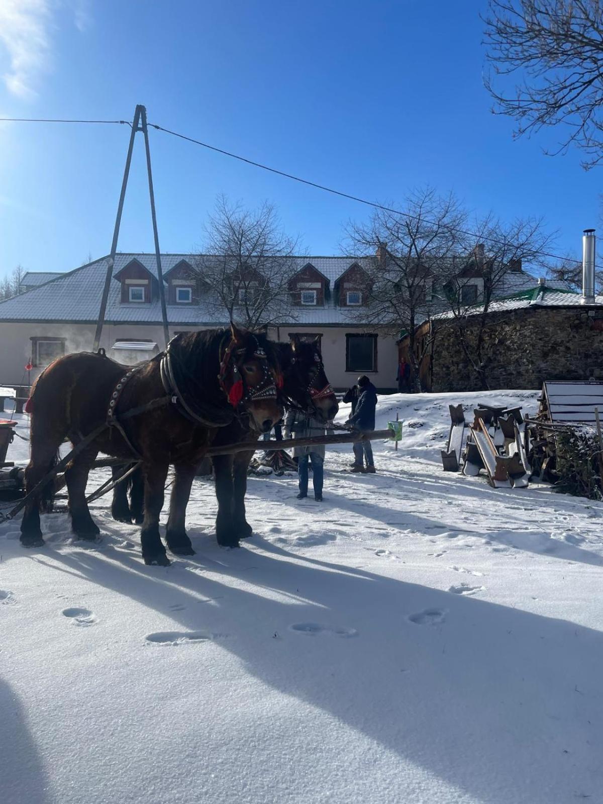 Latarnia Wagabundy Bieszczady Ξενοδοχείο Wola Michowa Εξωτερικό φωτογραφία