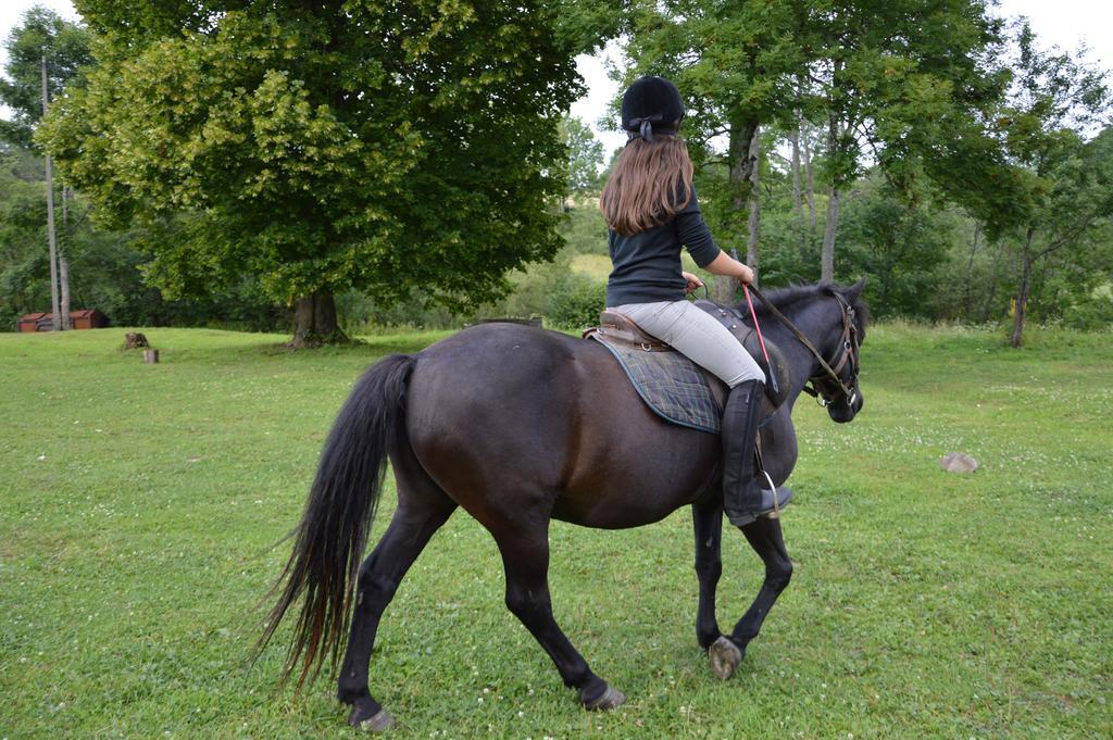 Latarnia Wagabundy Bieszczady Ξενοδοχείο Wola Michowa Εξωτερικό φωτογραφία